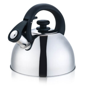 2.5 L Steel Tea Kettle - Image 1