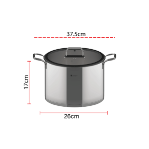 Dorsch Stainless Steel Pot 26cm – 8.7l - Image 2