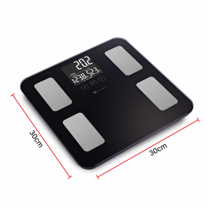 Dorsch Body Monitor Scale - Image 3