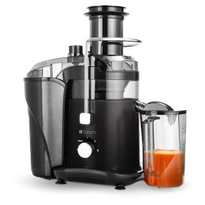Dorsch Fruit Juicer FJ-33 - Image 1